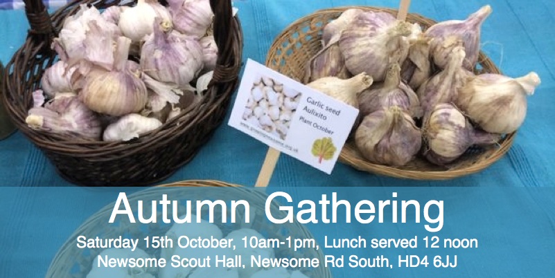 Autumn planting garlic